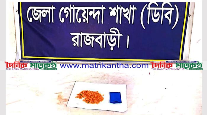 রাজবাড়ীর চন্দনী থেকে ৪০০ পিস ইয়াবাসহ মাদককারবারী গ্রেফতার
